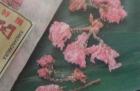 桜花漬(関山/国産)_500g(約300~350個)の画像１